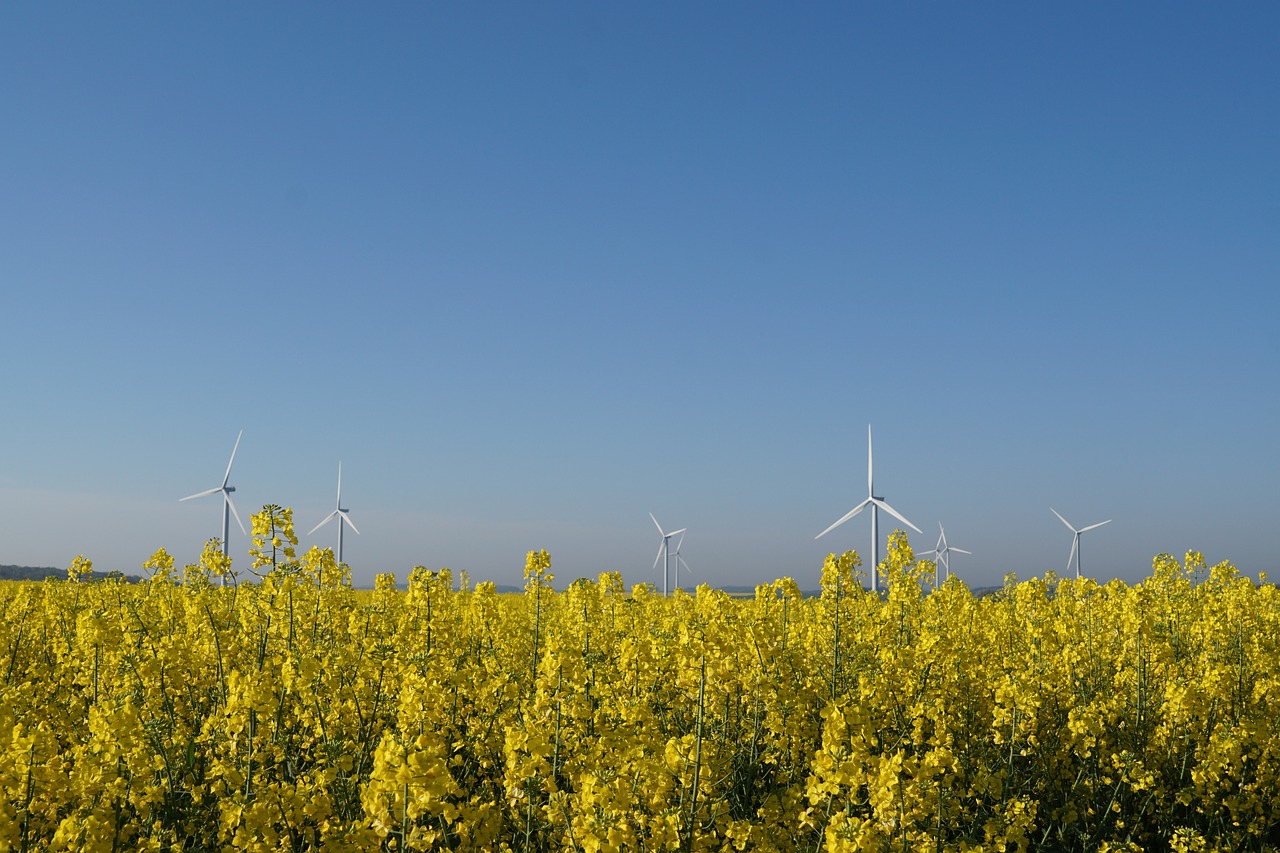 The Role of Biofuel in Sustainable Agriculture Practices